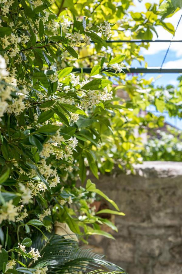 Luxury Apartment Silvana With Beautiful Garden Split Exterior photo