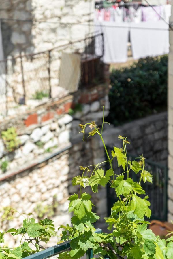 Luxury Apartment Silvana With Beautiful Garden Split Exterior photo