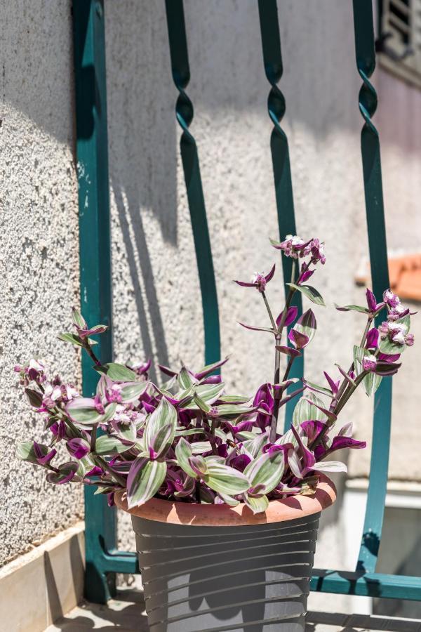 Luxury Apartment Silvana With Beautiful Garden Split Exterior photo